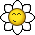 Such a daisy :daisy: